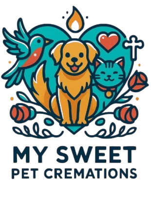 pet logo removebg preview